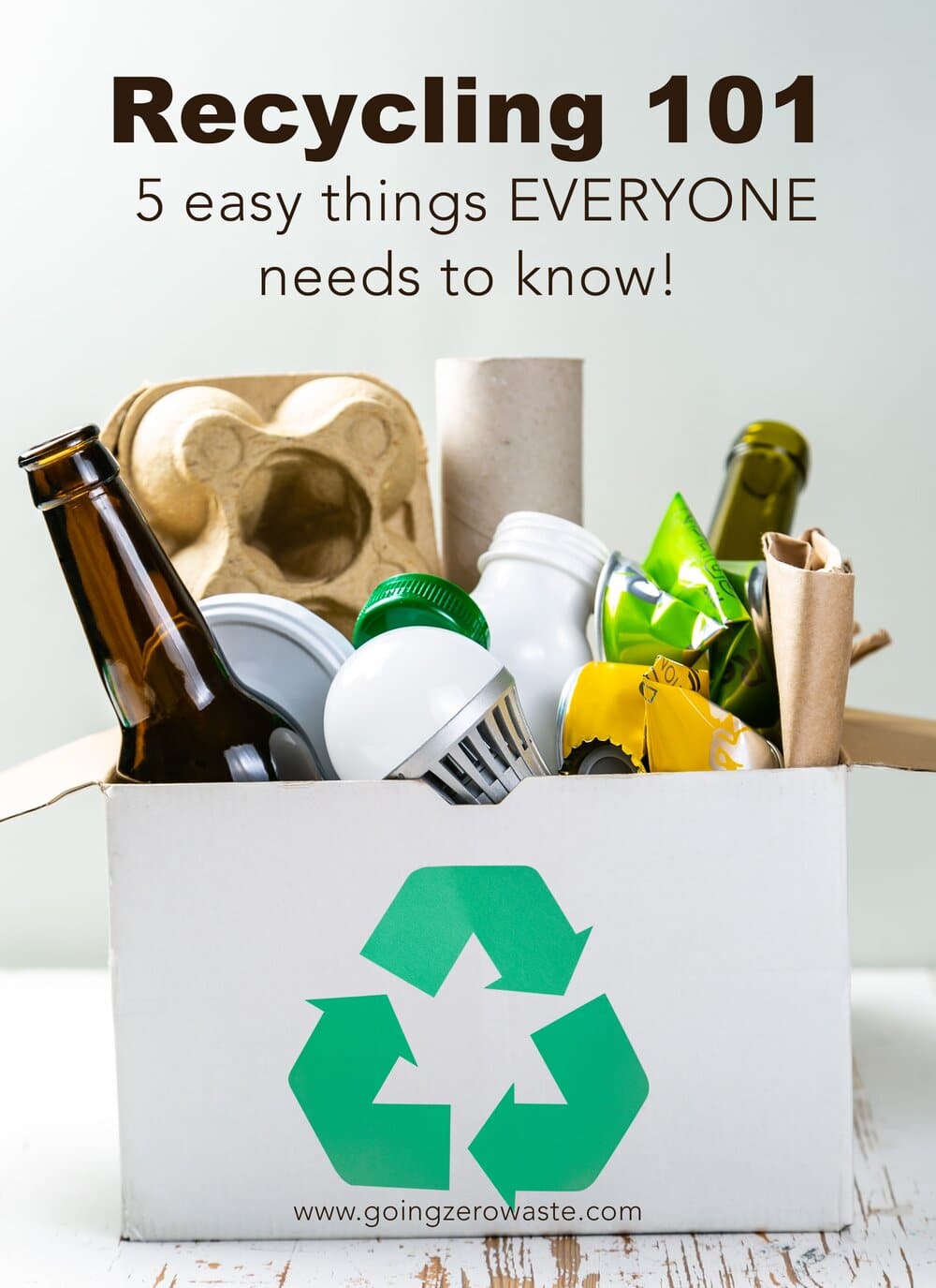 Recycling 101 – 5 Easy Points EVERYONE Should Know!